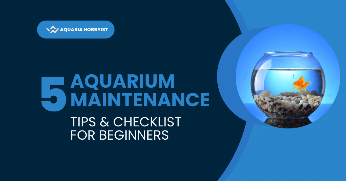 Aquarium Maintenance Tips & Checklist for Beginners
