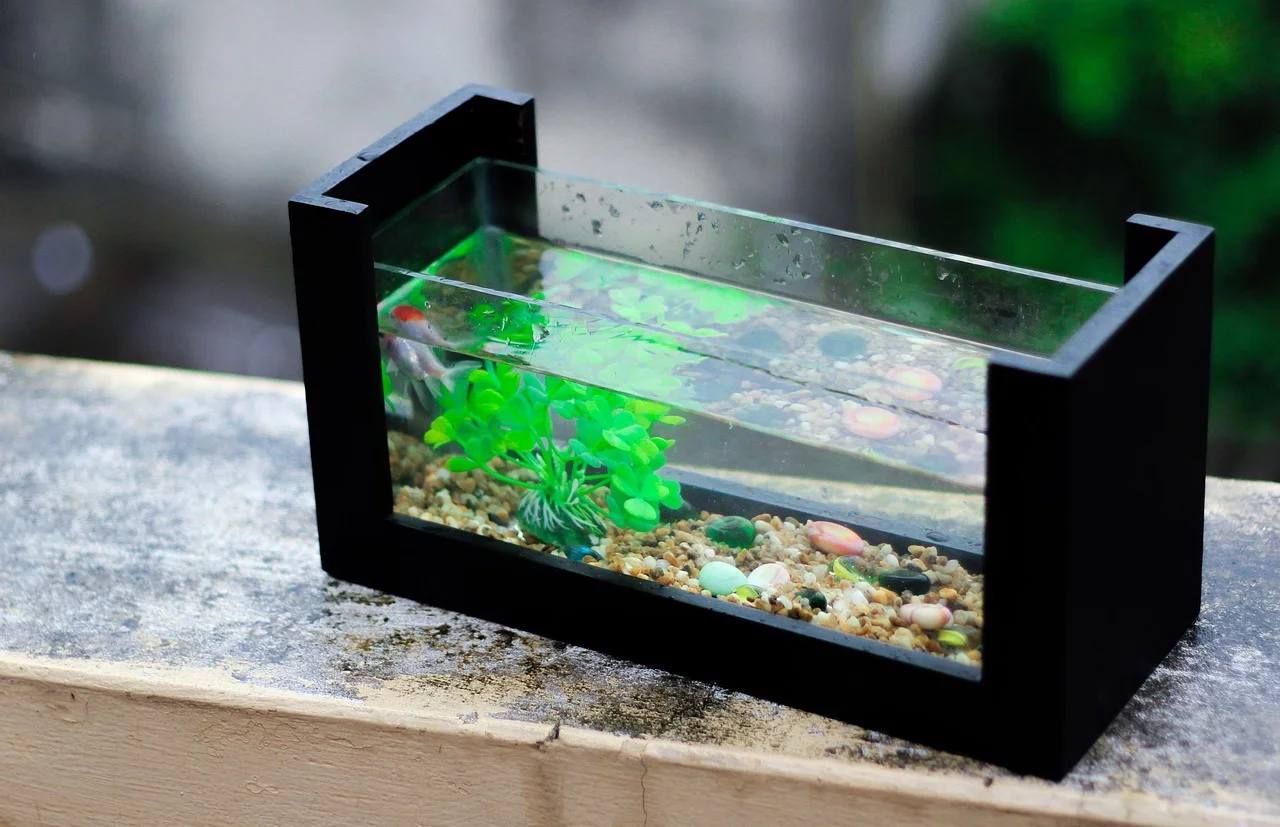Aquarium Equipment Guides & Reviews