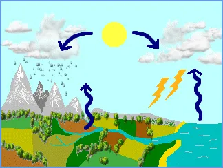 Aquarium water cycle