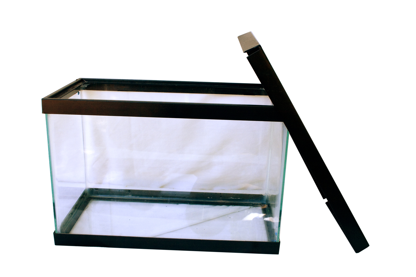 Best 10 Gallon Fish Tank Set for the Money