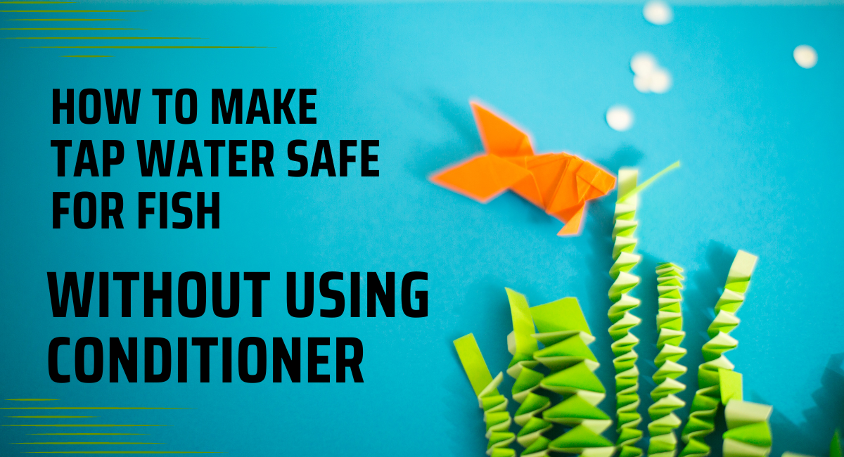 How to Make Tap Water Safe for Fish Without Conditioner