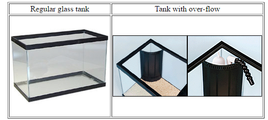 how to start a salt water tank
